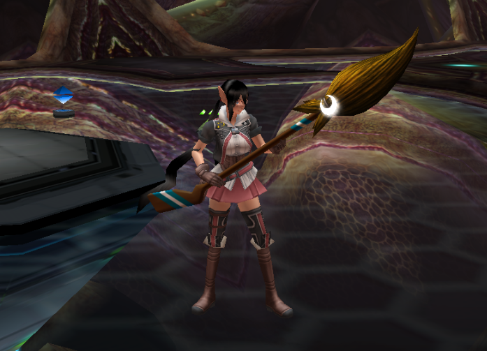 File:Caster Broom.png