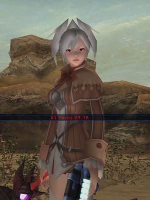 Fiirite Airboard.jpg